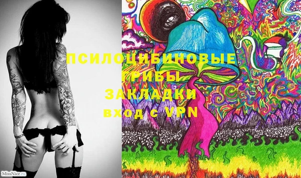 МДПВ Абаза