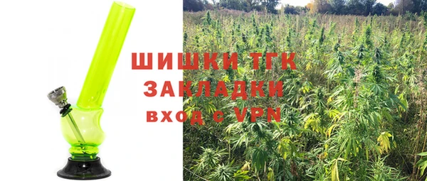 МДПВ Абаза