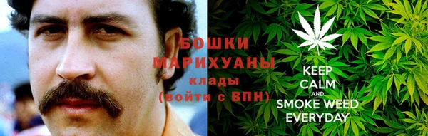 гидра Алексин