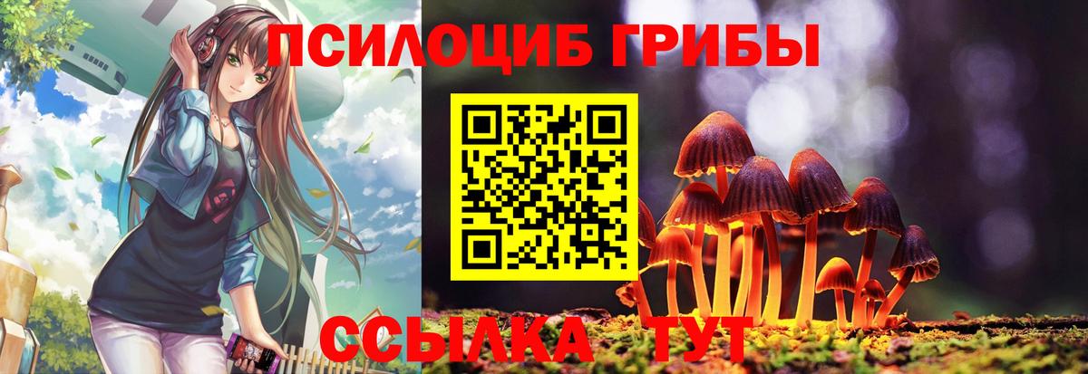 Псилоцибиновые грибы Psilocybine cubensis  Вход с VPN  Киров 