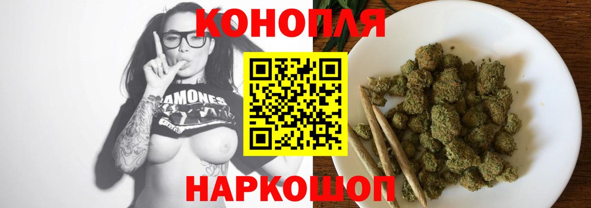 Конопля OG Kush Киров